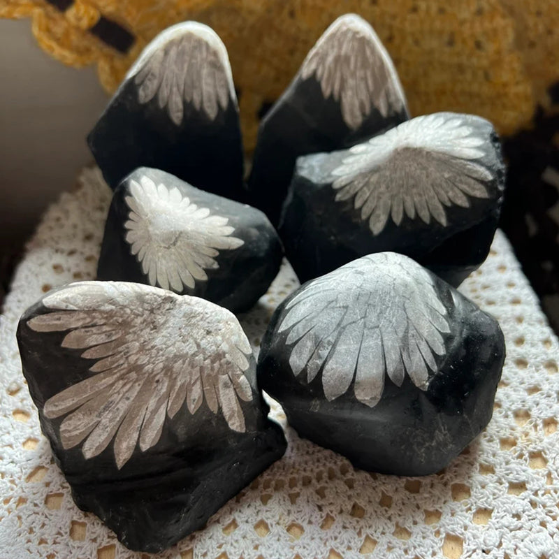 Chrysanthemum Stone Specimen, Raw
