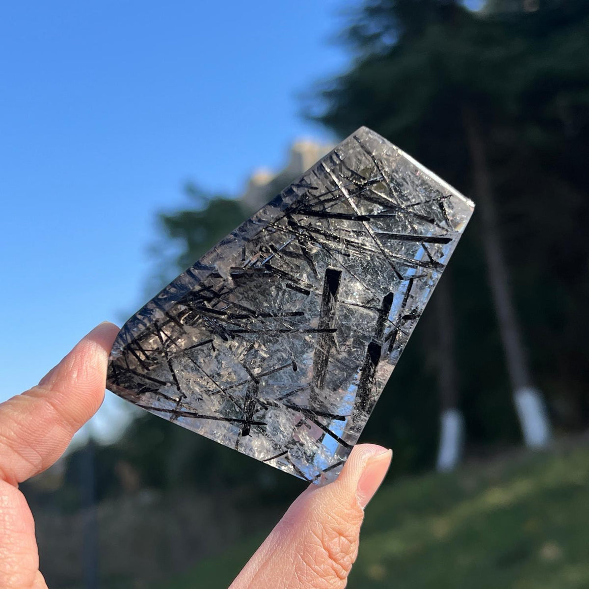 Natural Crystal Black Tourmaline Freeform Polished Freedom for Home Office Decor
