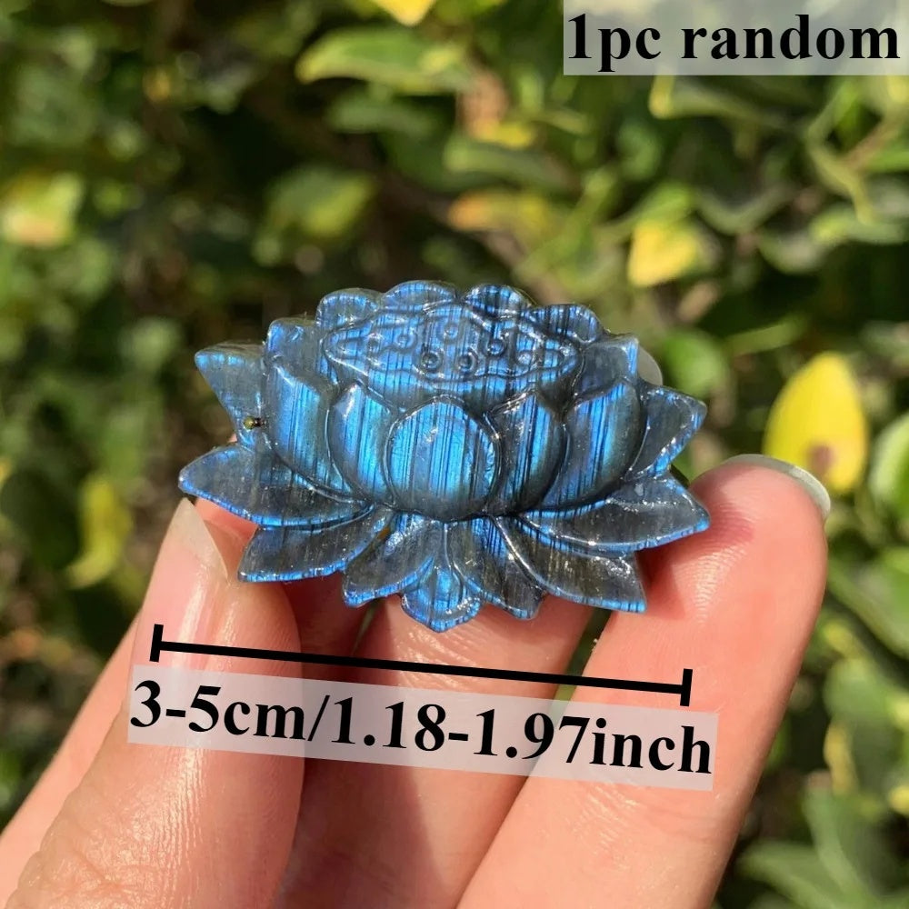 e3753007-7218-4d4a-bb04-27222a75cf60