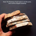 Polished Petrified Wood Slice - 300–400 g