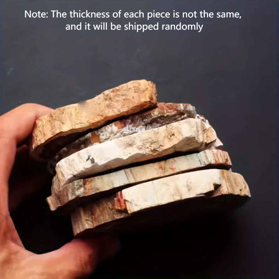 Polished Petrified Wood Slice - 300–400 g