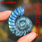 8f154189-7717-4579-83ad-6e30d69e4a14