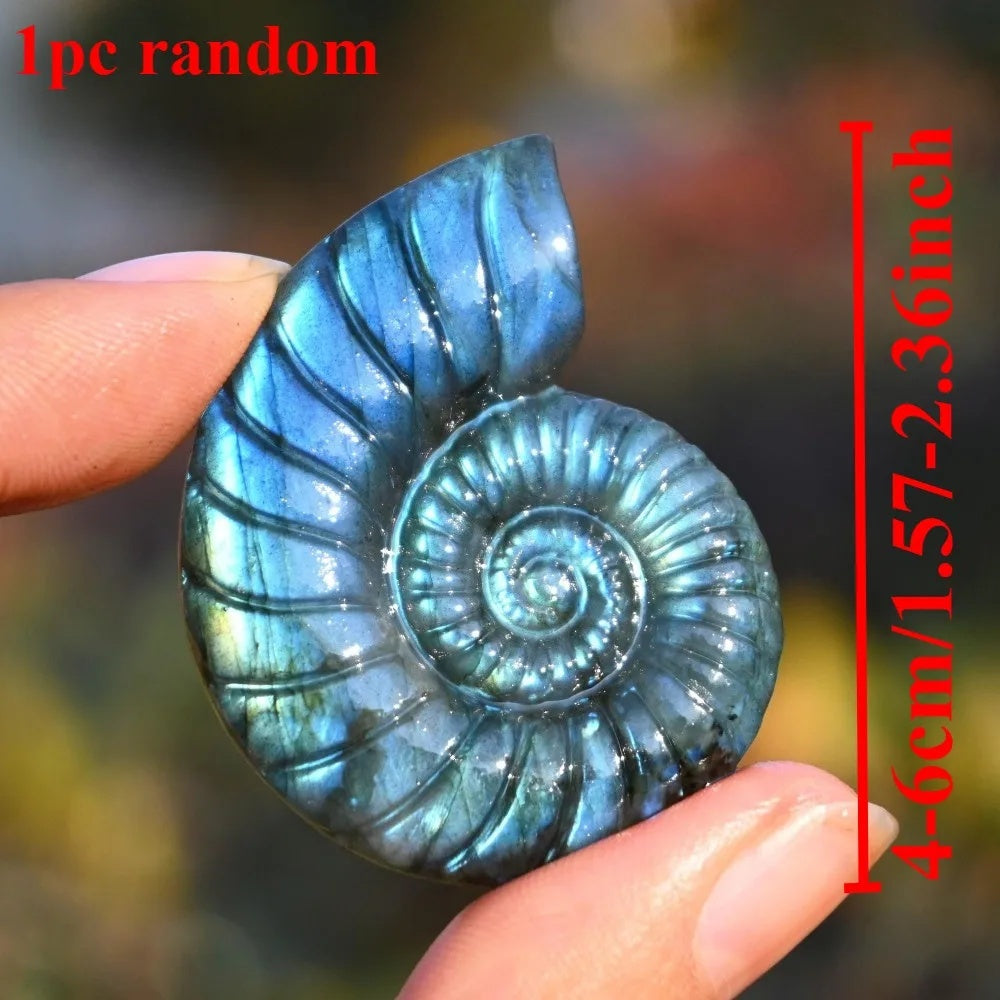 8f154189-7717-4579-83ad-6e30d69e4a14