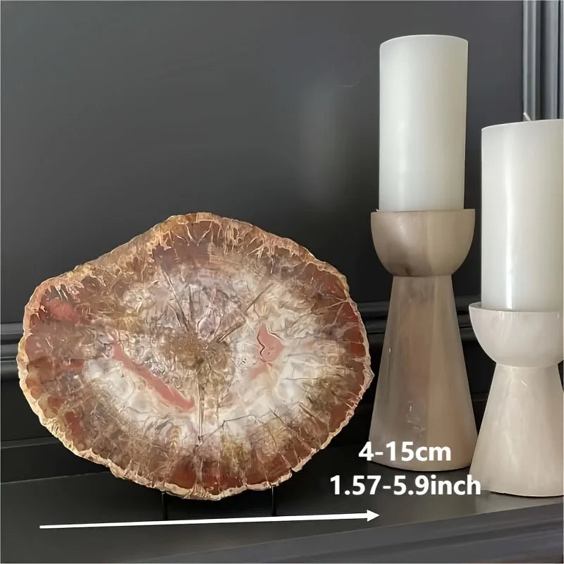 500-700g Natural Polished Rough Stones fossil Wood Slab Specimen Petrified Wood Slice Crystal Decor