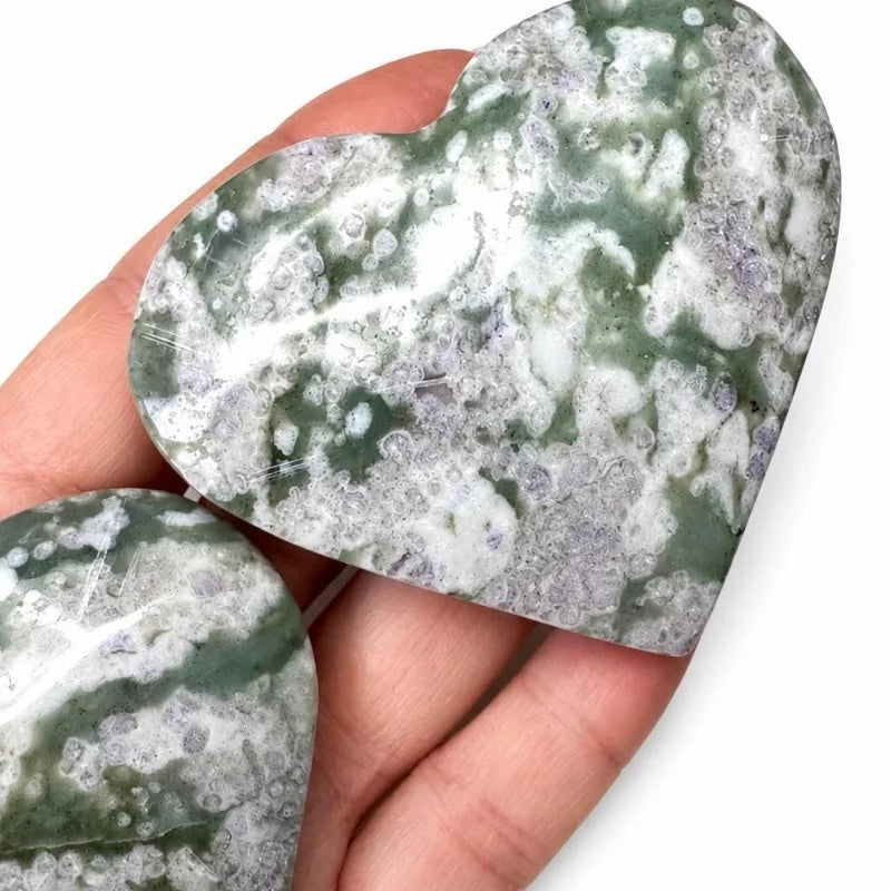 701ea74b-b8a2-4e18-a109-d68f4cf861de
