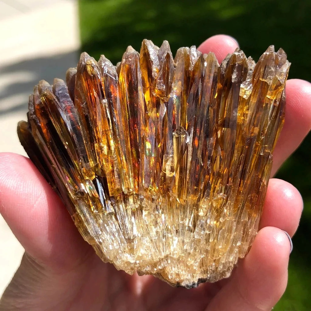 ae0813a7-9d16-4661-81f8-e9de7538d982