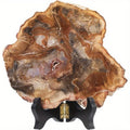 Crystal Specimen Polished Raw Rough Crystal Stone Slice Petrified Wooden Coasters Fossil Slab