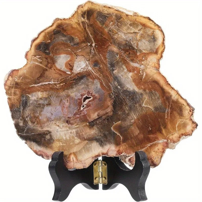 Crystal Specimen Polished Raw Rough Crystal Stone Slice Petrified Wooden Coasters Fossil Slab