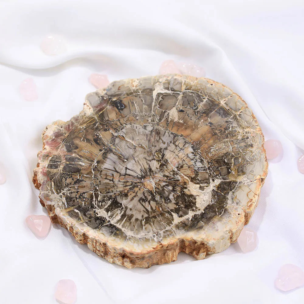 Natural Polished Wood Fossil Slab Rough Petrified Wood Stone Slice Specimen with & Buddhism Theme