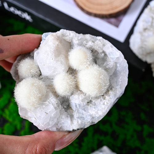 Apophyllite Fisheye Cluster - Single Lot