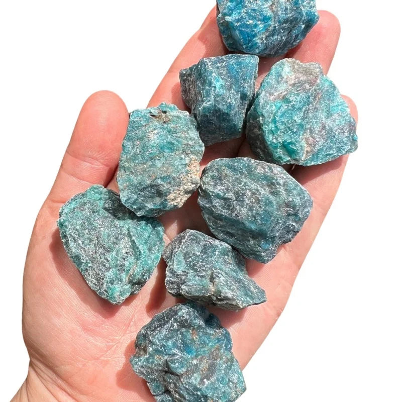 Blue apatite raw stone chunks in hand
