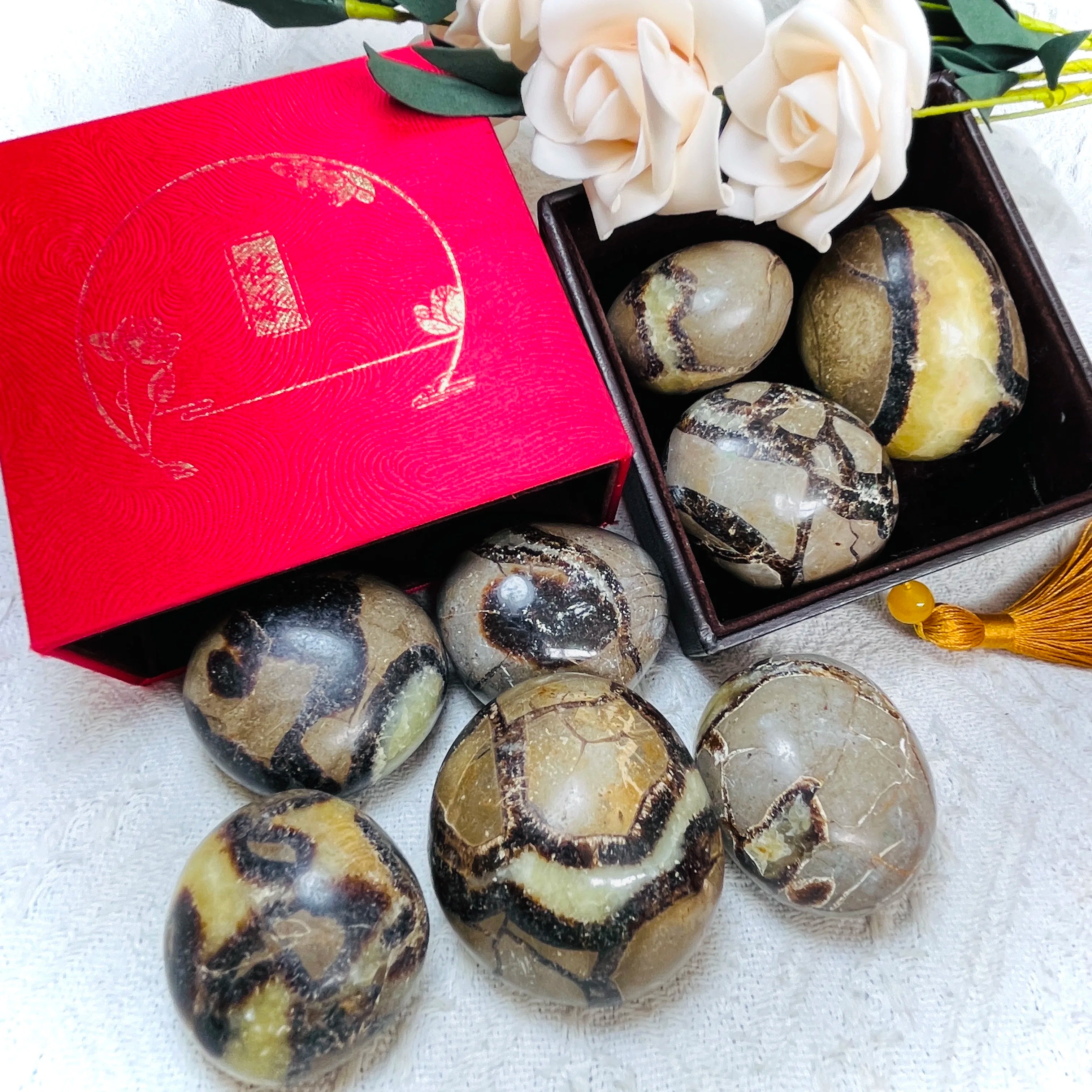 Polished Septarium Palm Stone for Home Decoration and Health