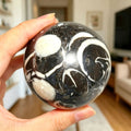 Hand Polished Trilobite Stone Ball Simulated Fossil Gem Sphere Desktop Ornament