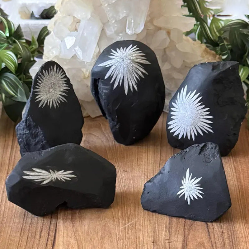 Chrysanthemum Stone Specimen, Raw