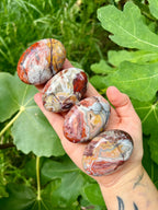 White Mexican Agate Palm Stone Polished Crystal Craft Collectible Home Decor Tabletop Ornament-CrystalHola