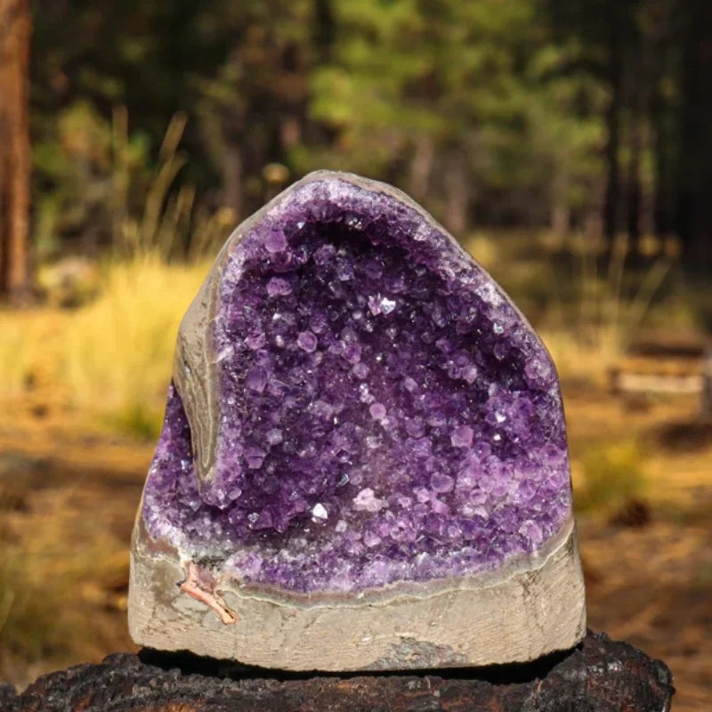 Amethyst Geode Clusters Nature Crystal Carved Specimen for Home Decoration Gift
