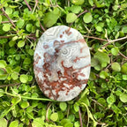 White Mexican Agate Palm Stone