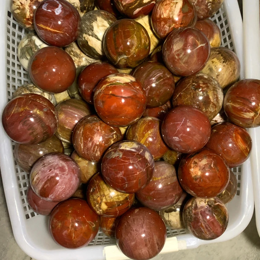 Crystals Crystal Crafts Natural Petrified Wood Sphere for Home Decoration