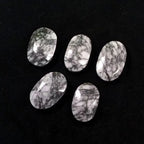 Agate Palm Stones - 1 kg Lot
