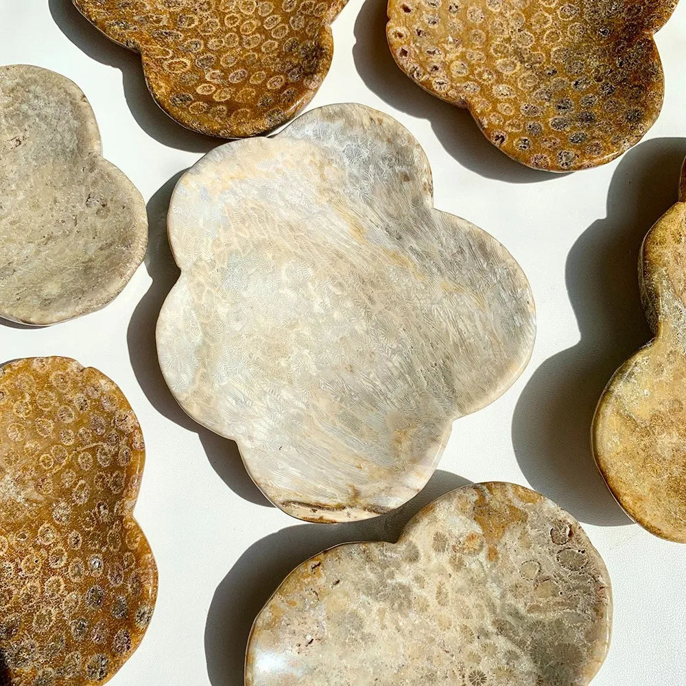 Natural Coral Freeform Polished Bowl Natural Crystal Rough Stone for Gifts and Decor