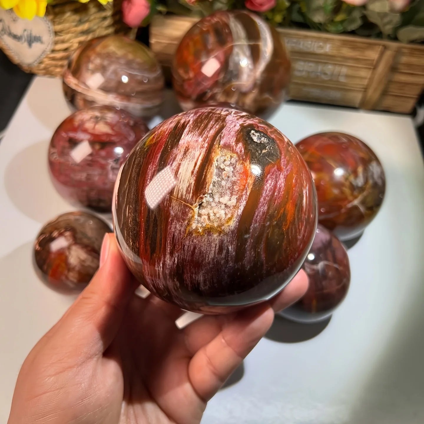 Natural Wood Fossil Sphere Petrified Wood Crystal Ball Grounding Stone Decor