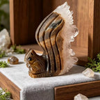 Natural Clear Quartz Cluster Squirrel Figurine Hand Carved Crystal Statue Home Decor Art