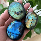 Natural Crystal Quality Blue Each Flashy Gemstone Polished Gemstone Labradorite Palm Stone