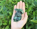 Natural Kambaba Jasper Raw Rough Crystal Chunks Green Circular Pattern Crocodile Jasper Mineral Stone for Fish Tank Decor