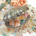Polished Agate Tumbled Stone Natural Flower Agate Crystal Chips for Decoration