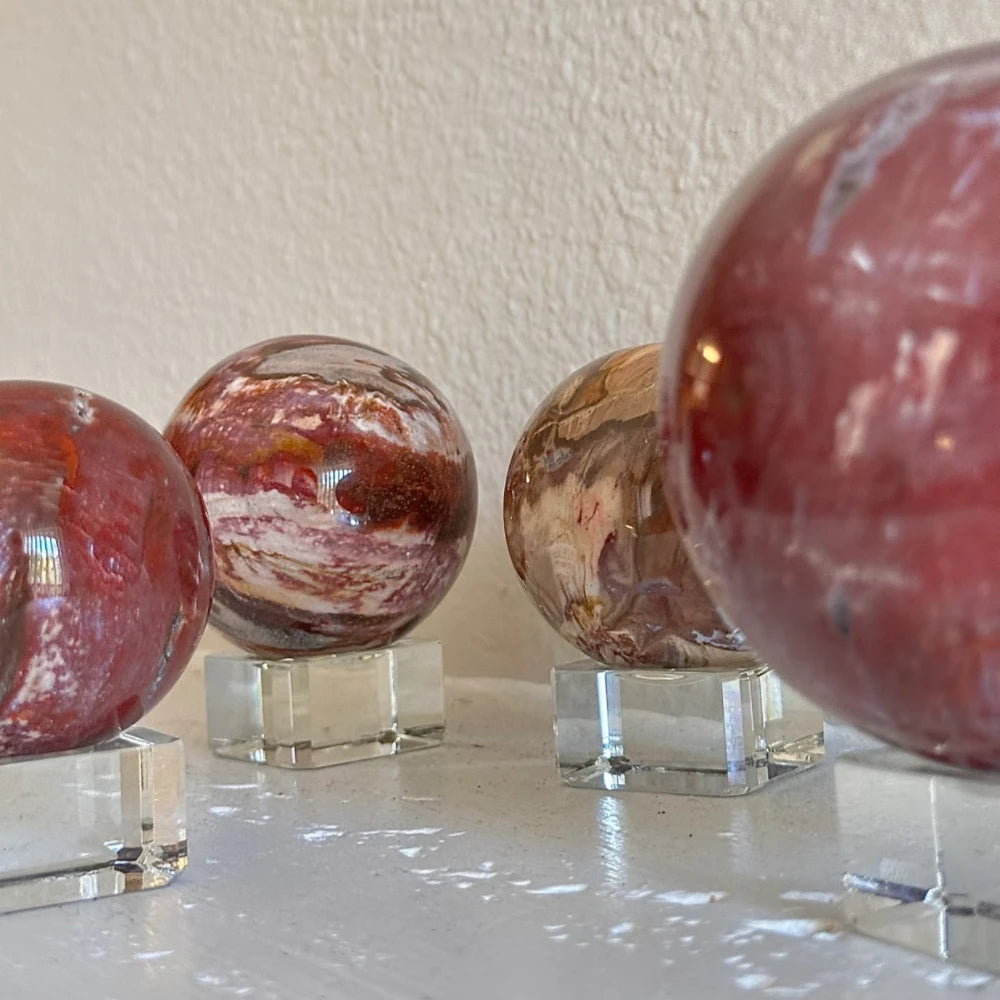 Crystals Crystal Crafts Natural Petrified Wood Sphere for Home Decoration