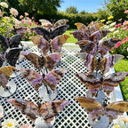 Engraved Tiger Eye Heart Wings Carved Natural Crystal Fire Quartz Figurine Wedding Decoration