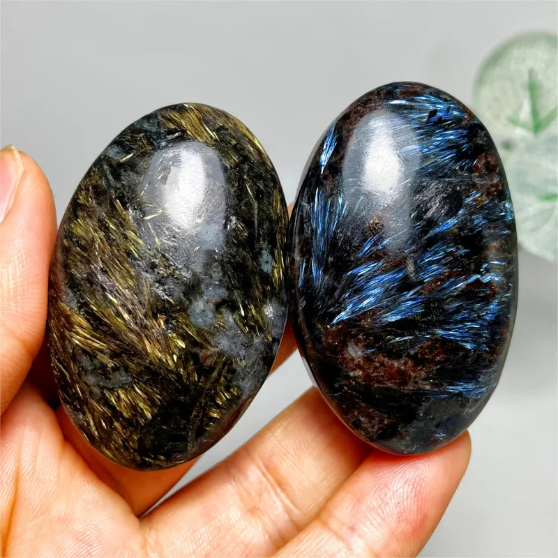 Firework Palm Stone - 1 kg Lot