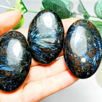 Firework Palm Stone - 1 kg Lot