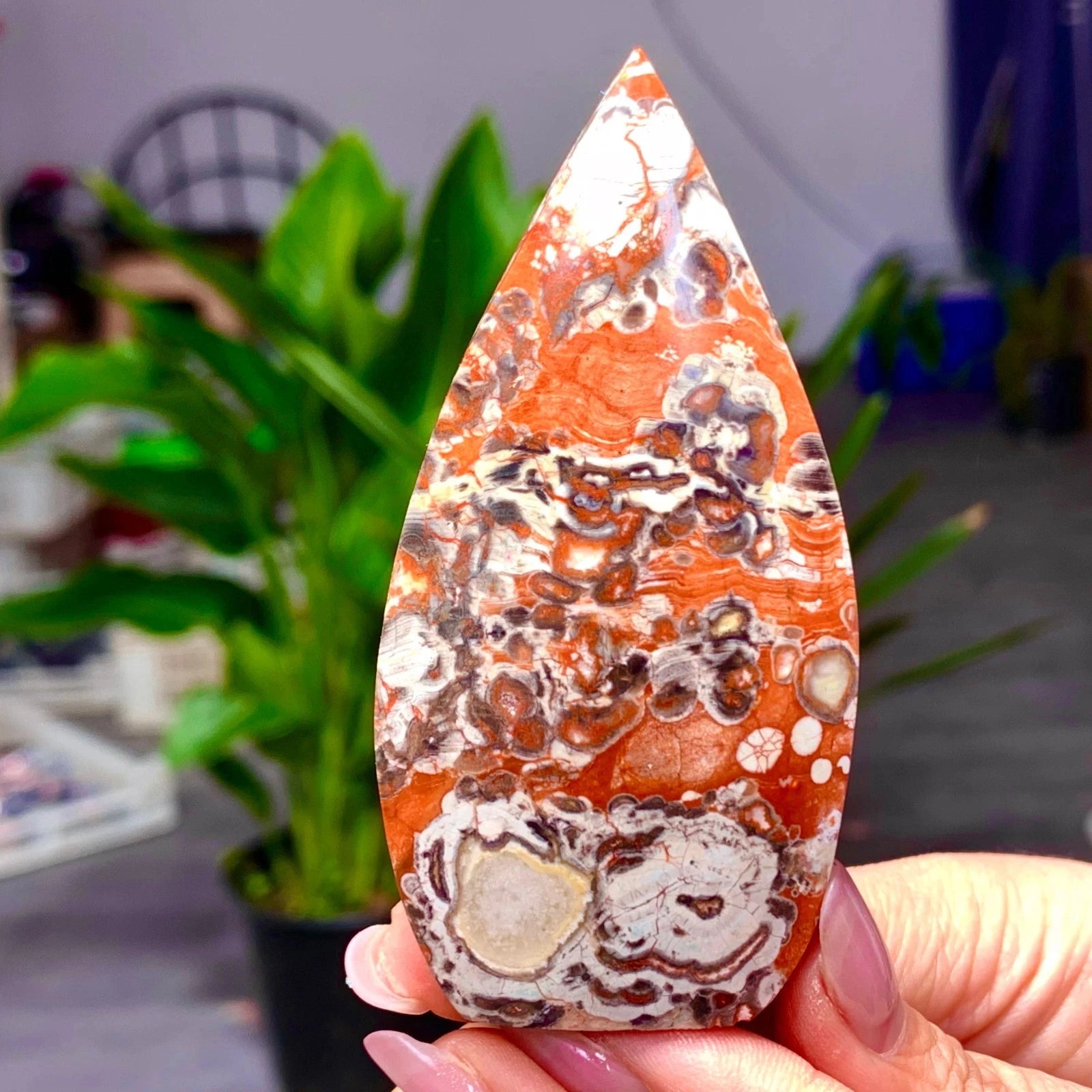 Natural Money Agate Water Droplet Multi-color Blossom Agate Crystal