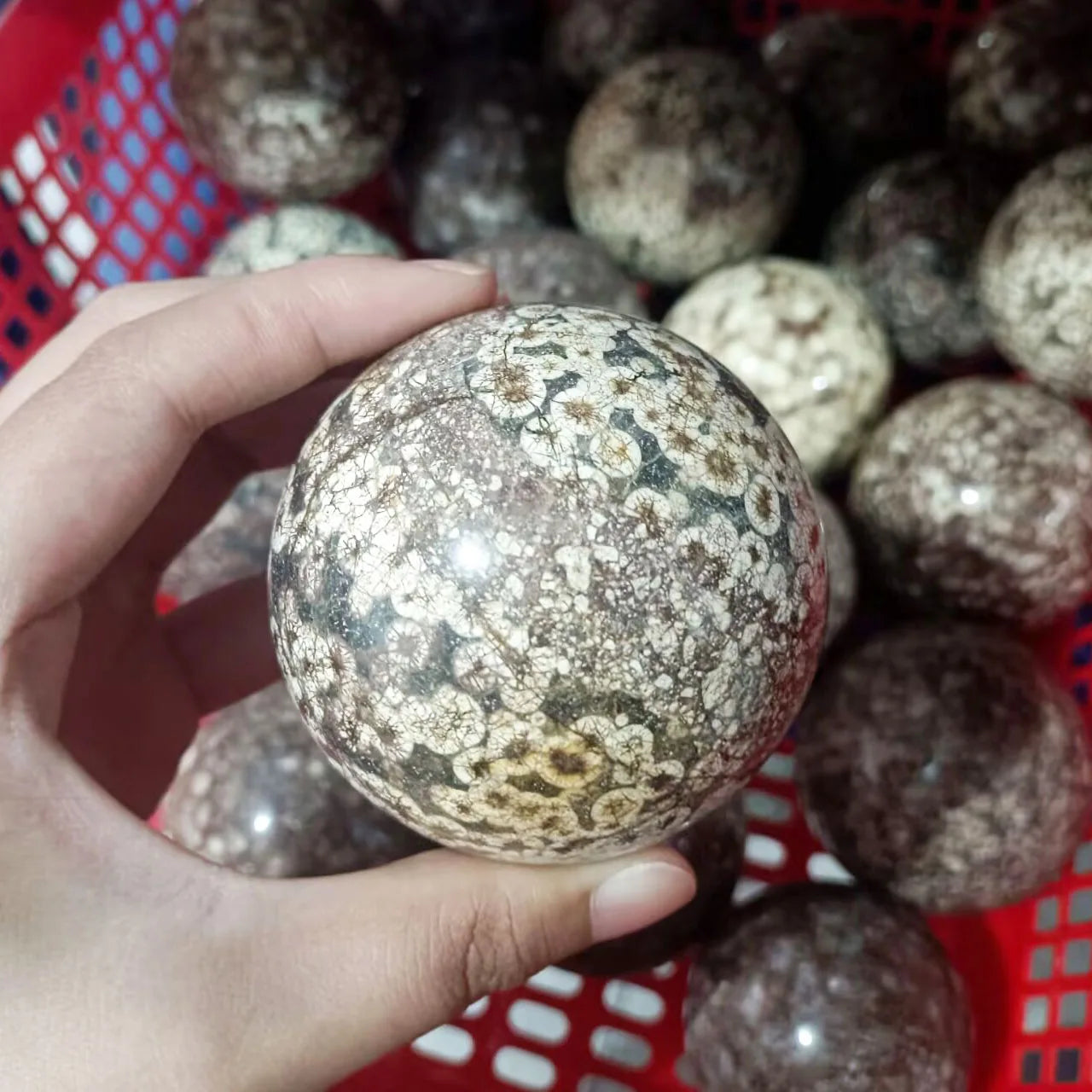 Polished Crystal Ball Natural Dandelion Agate Sphere for Home Decor