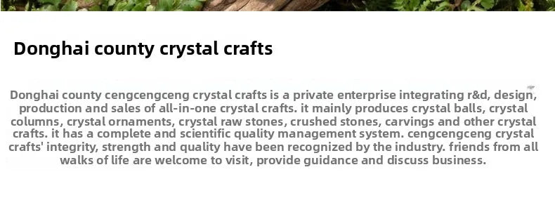 Natural Crystal Amethyst Cluster Hedgehog