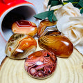 Natural Crystals Palm Gemstone Sardonyx Agate Palm of Loose Gemstone Crystal Decor