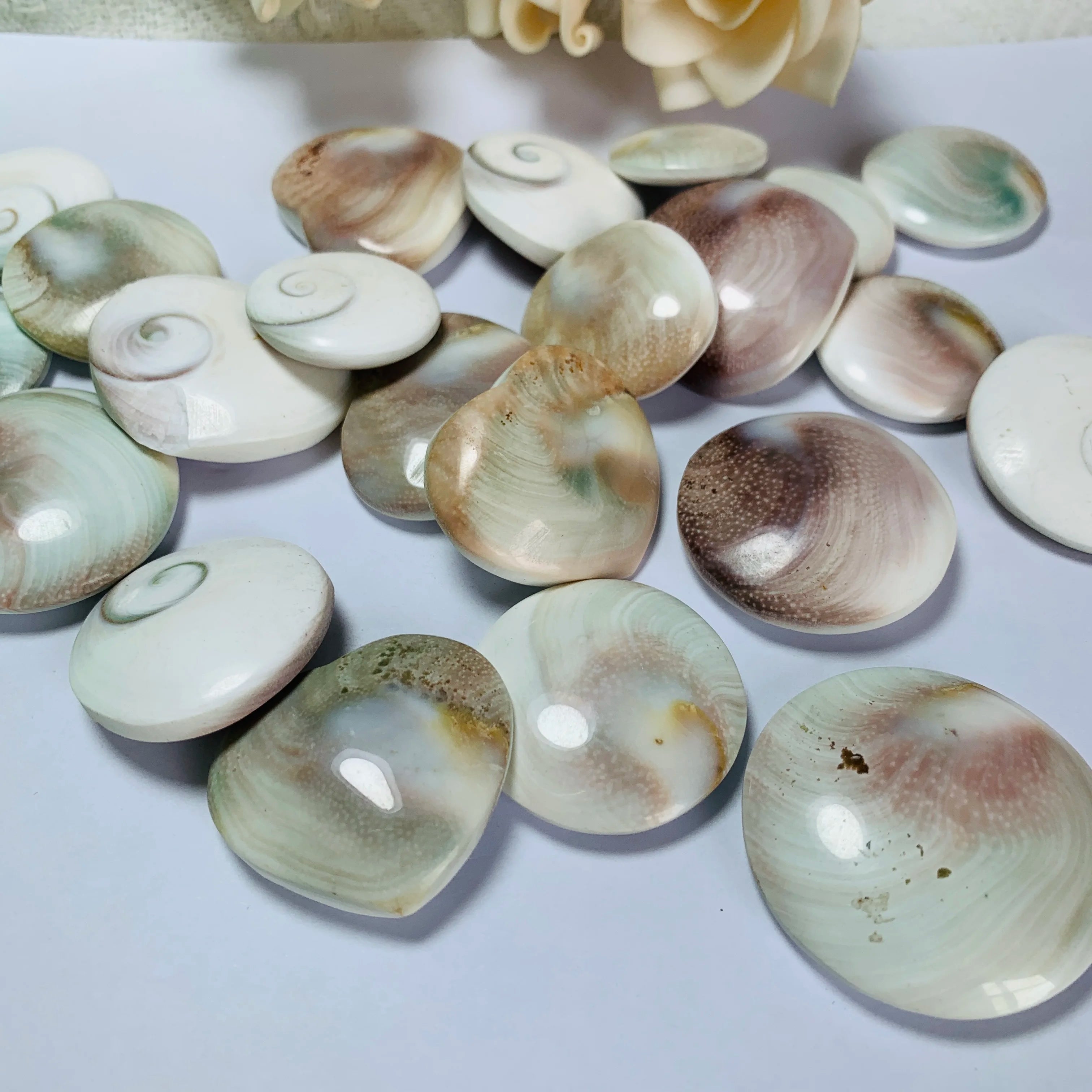 Natural Crystals Polished Amethyst Thousand Eyes Stone for Decoration Quartz Shell Stone