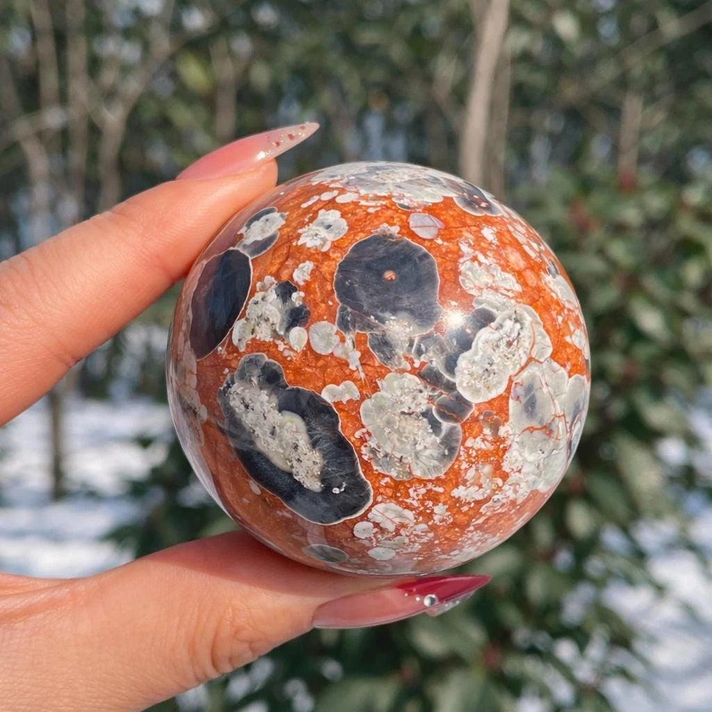 Natural Money Agate Sphere Ball Crystal, for Home Decoration Multiple Colors Sphere