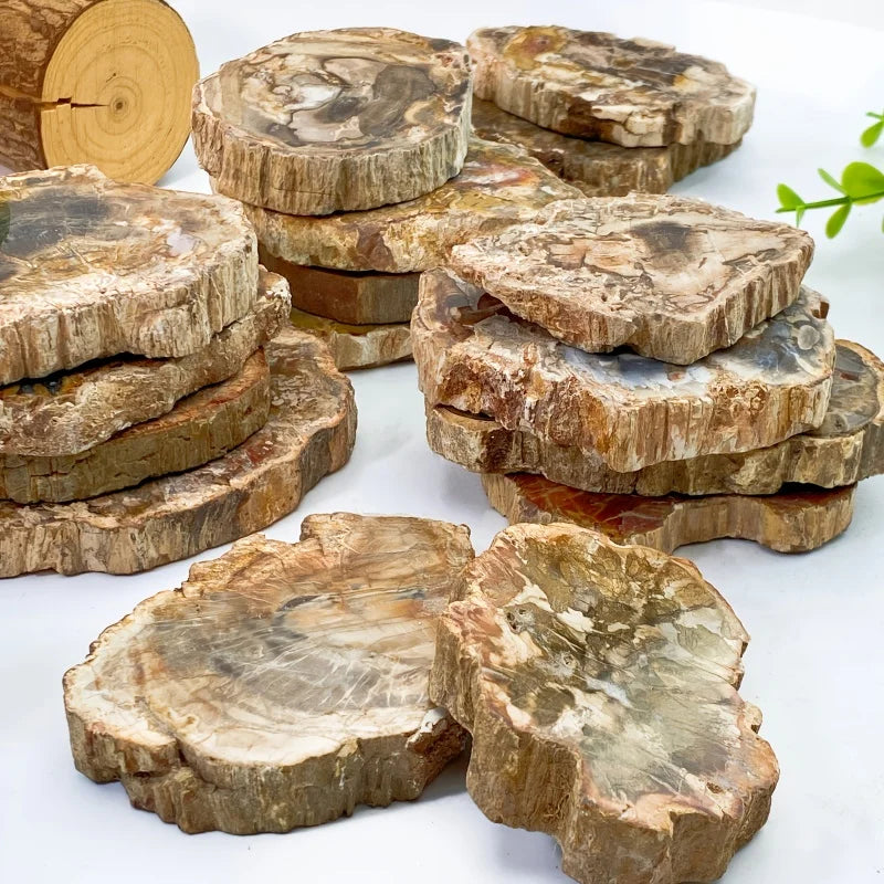Natural Polished Wood Fossil Slab Rough Petrified Wood Stone Slice Specimen with & Buddhism Theme