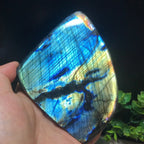 Polished Blue Flash Natural Labradorite Freeform Stone for Crystal Gifts