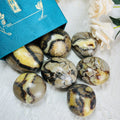 Polished Septarium Palm Stone for Home Decoration and Health