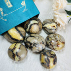 Polished Septarium Palm Stone for Home Decoration and Health