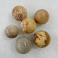 Retail Natural Crystal Ball Coral Jade Polished Tumbled Ball Crafts Small Coral Jade Ball