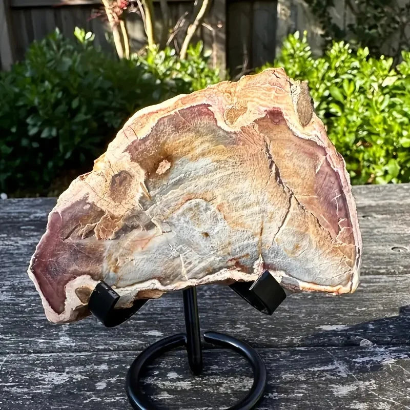 Stunning Petrified Wood Slab Living Room Home Decoration Design Housewarming Gifts Crystal Decor