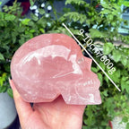 1295c8ce-b41f-4558-81fc-93bd0f87f8da
