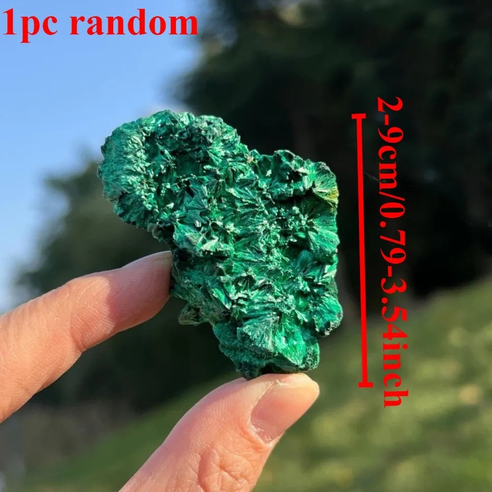 716d1263-7d1c-4107-897b-7c2b4d7b05c6