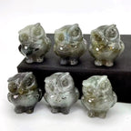 5e0ccb6c-00ce-4b53-990a-df3f9d07a5b2