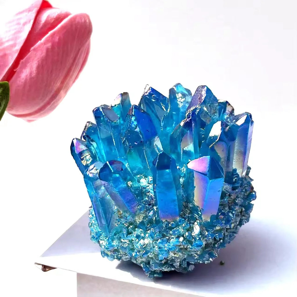 c2291438-7f16-4f53-8772-78ee192fd058