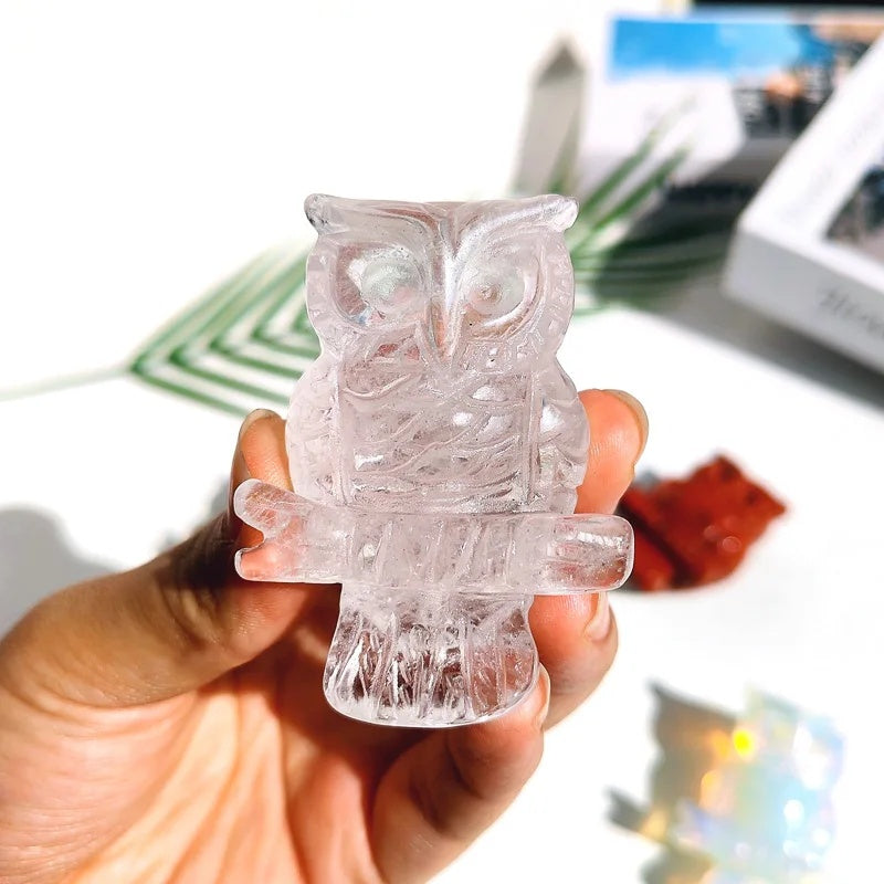 c4d5a722-3101-4c3e-bdfe-d3ba09bc6357